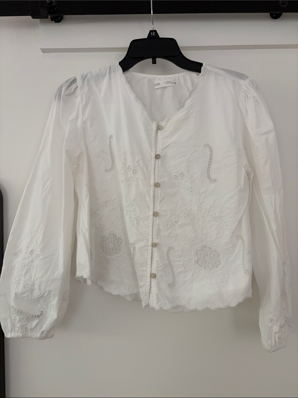 Zara Embroidered Button-Front blouse